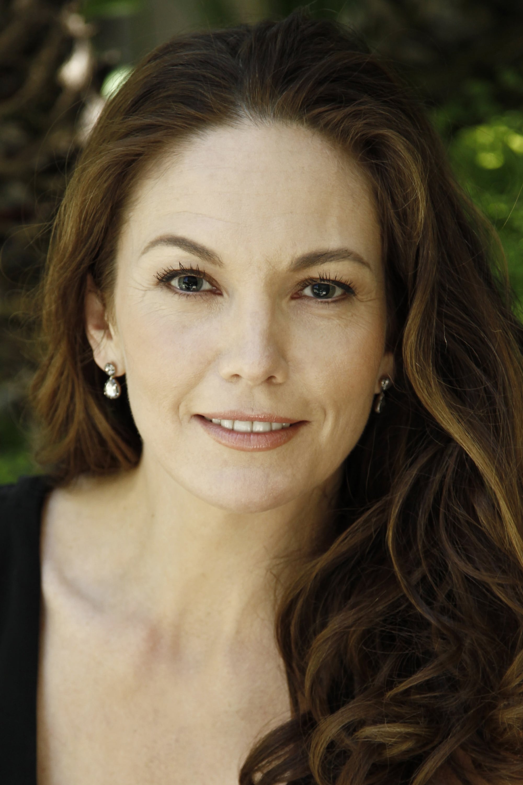 تصویر هنرمند Diane Lane