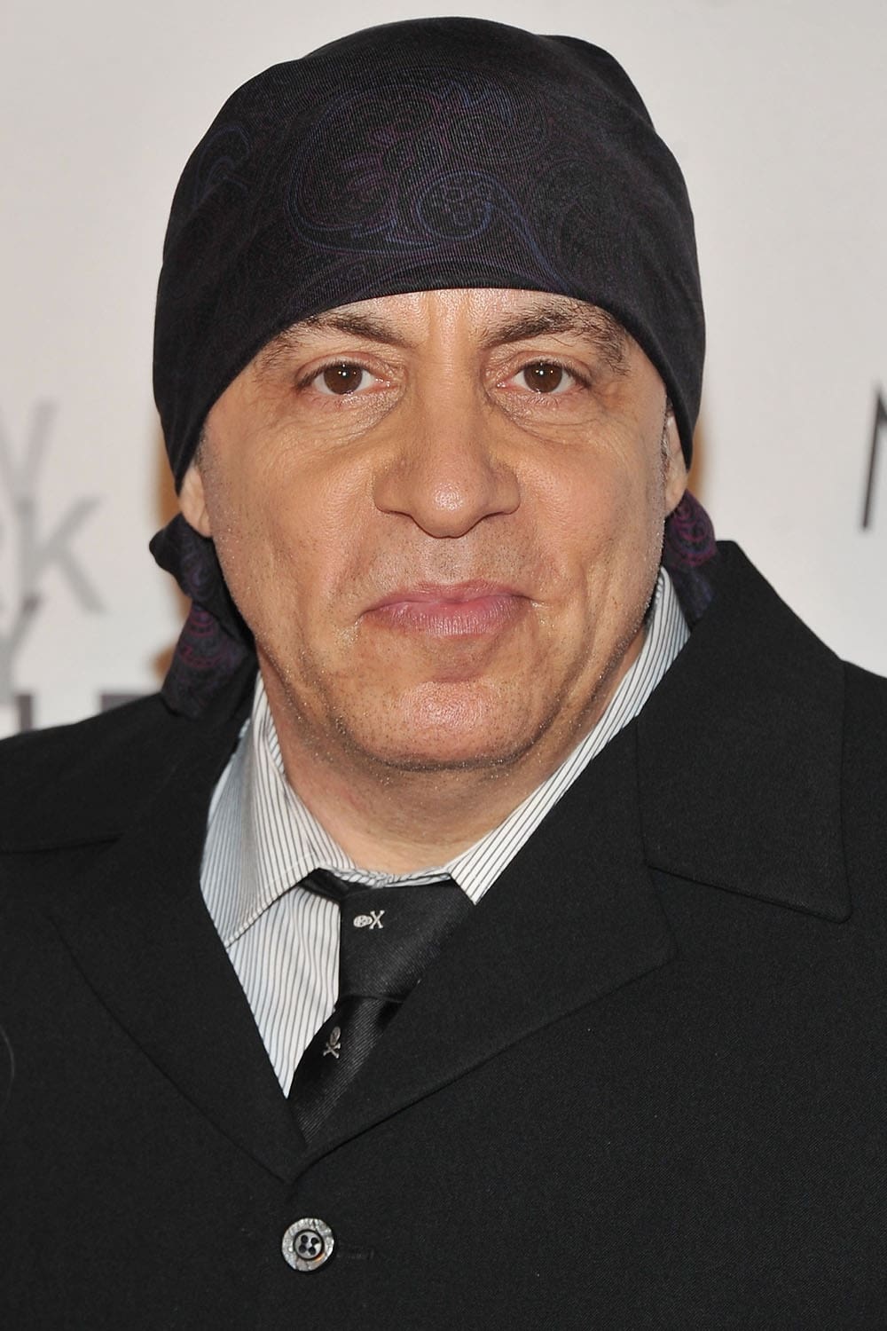 تصویر هنرمند Steven Van Zandt