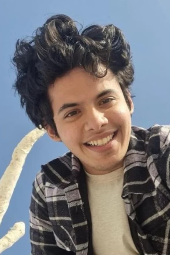 تصویر هنرمند Darsheel Safary