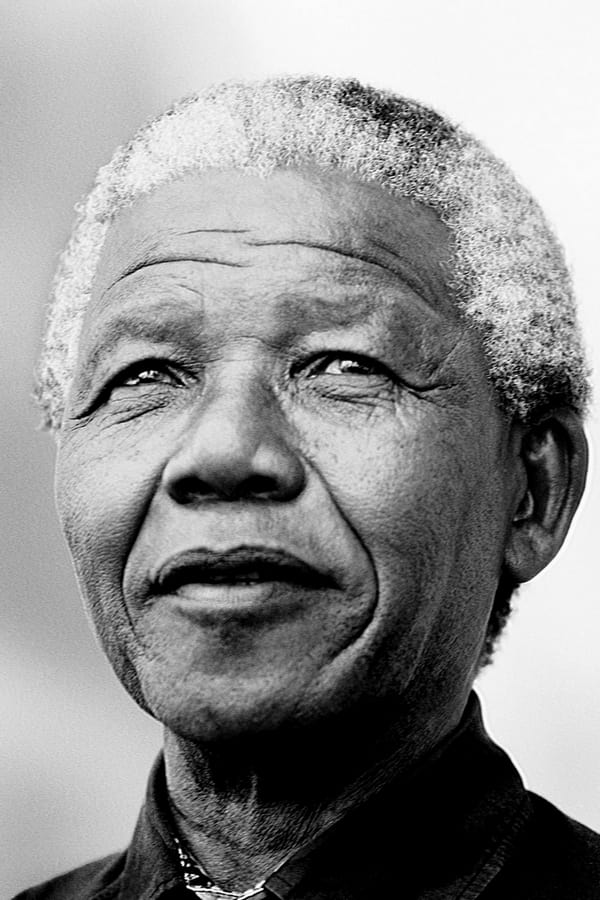 تصویر هنرمند Nelson Mandela