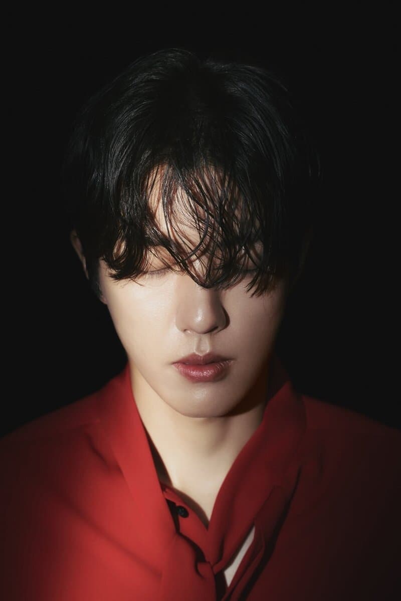 تصویر هنرمند Lee Sung-yeol