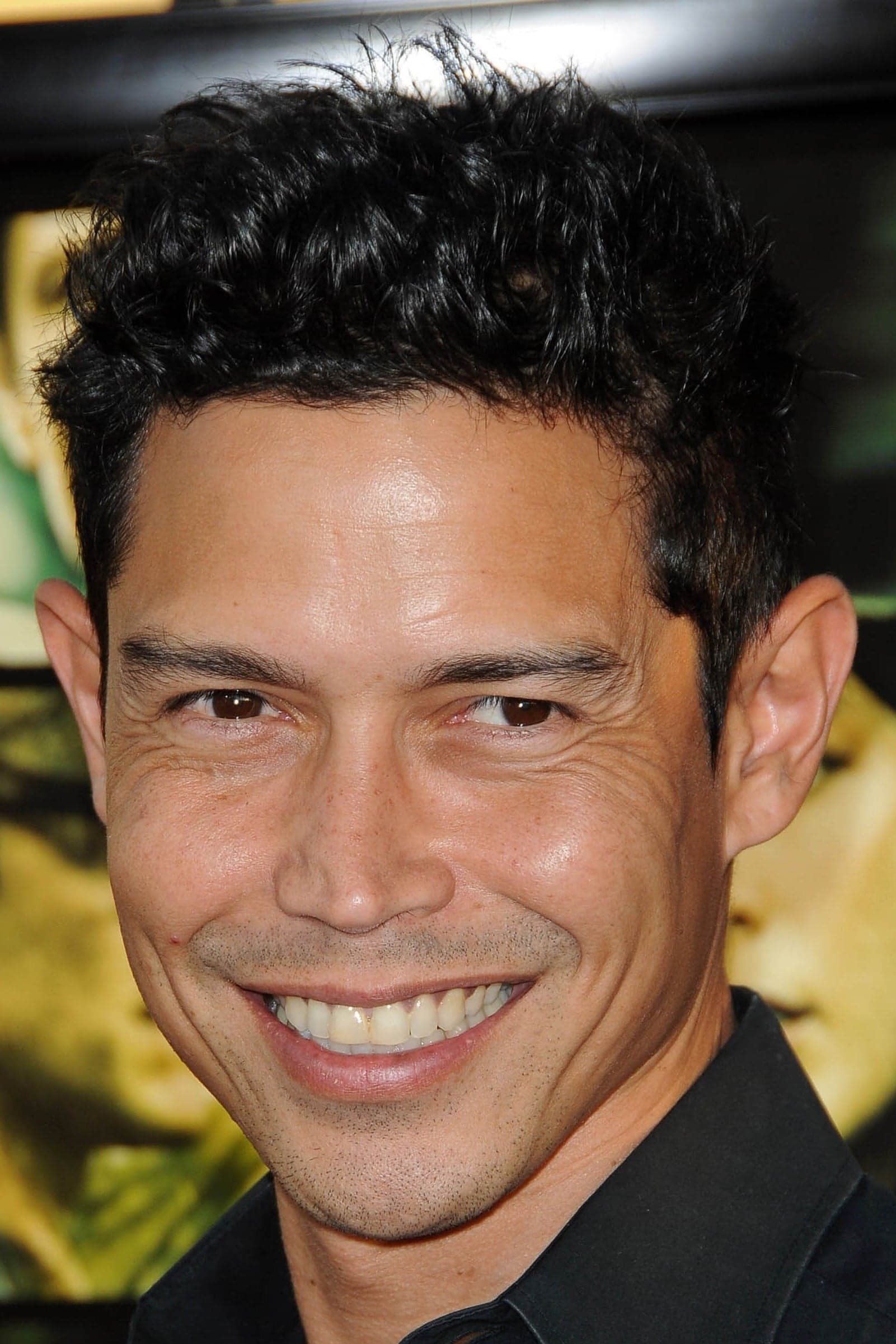 تصویر هنرمند Anthony Ruivivar