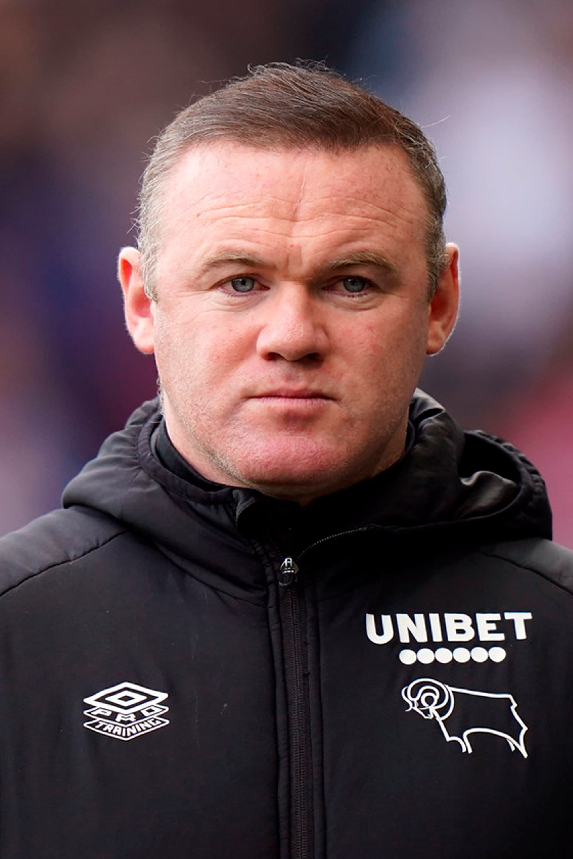 تصویر هنرمند Wayne Rooney