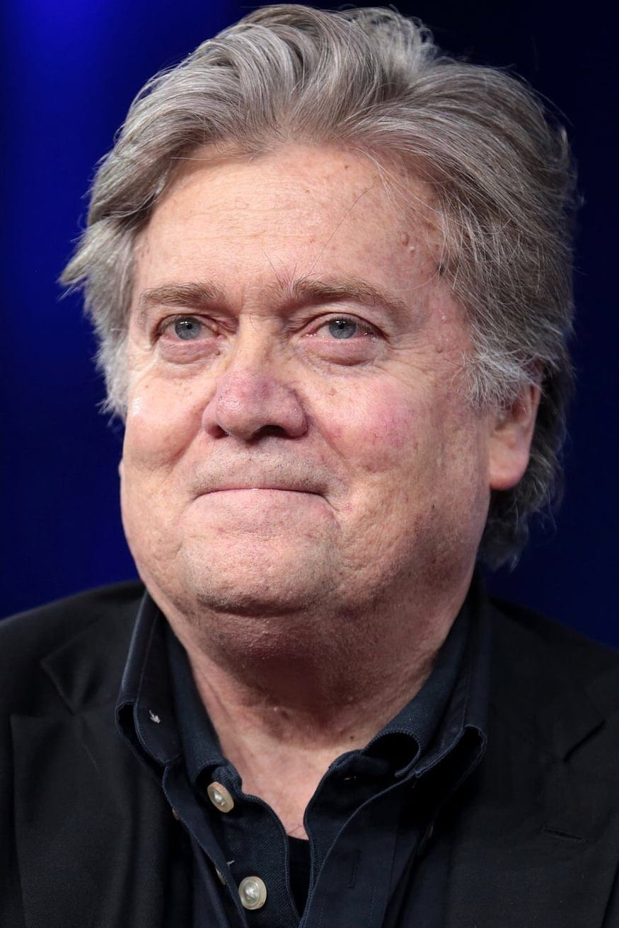 تصویر هنرمند Steve Bannon
