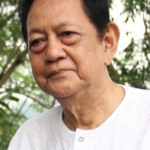 تصویر هنرمند Deddy Sutomo