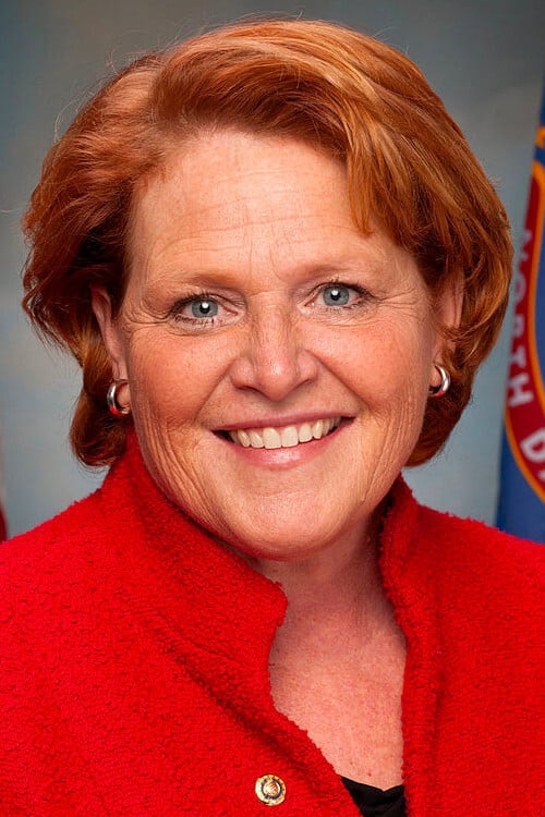 تصویر هنرمند Heidi Heitkamp