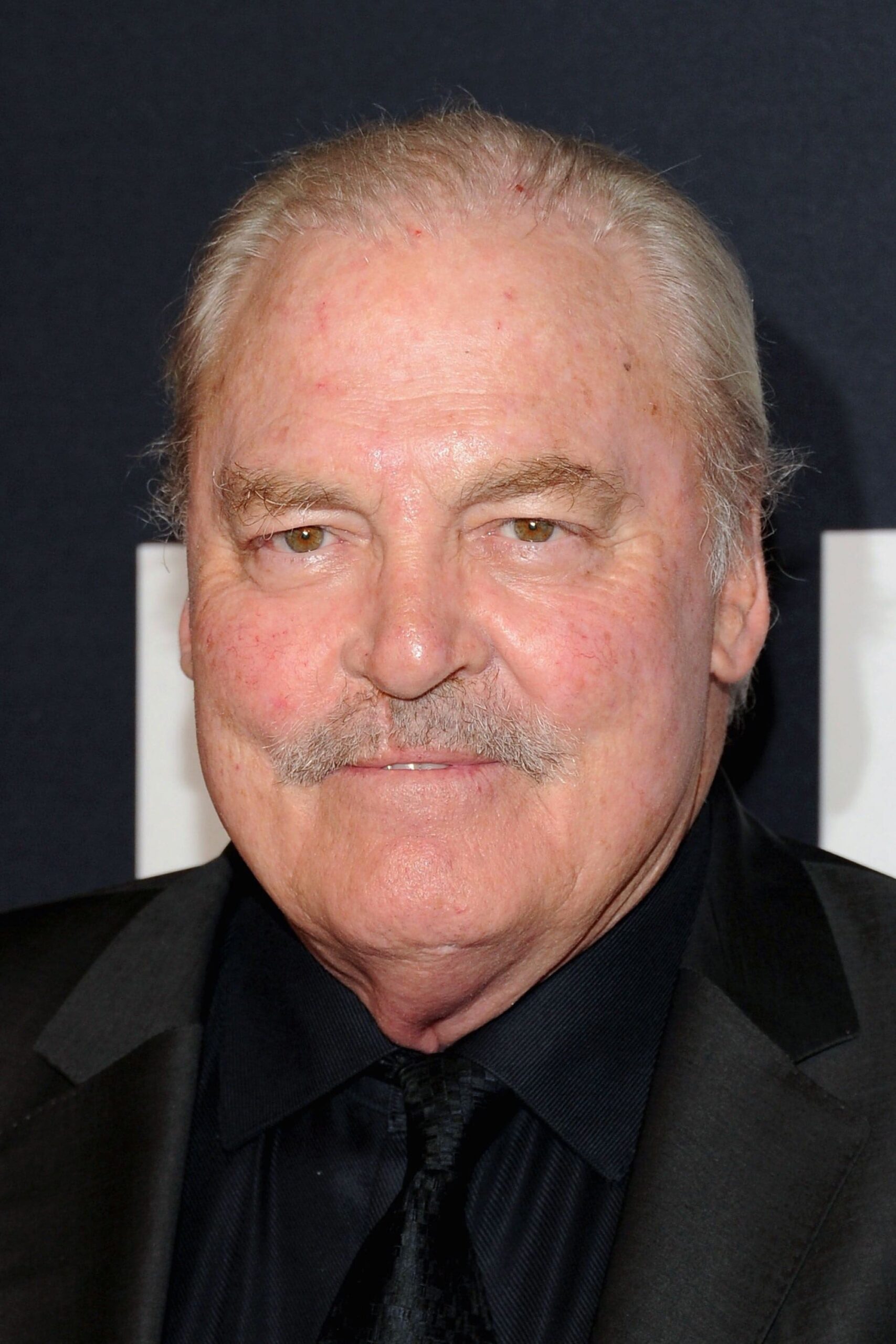 تصویر هنرمند Stacy Keach