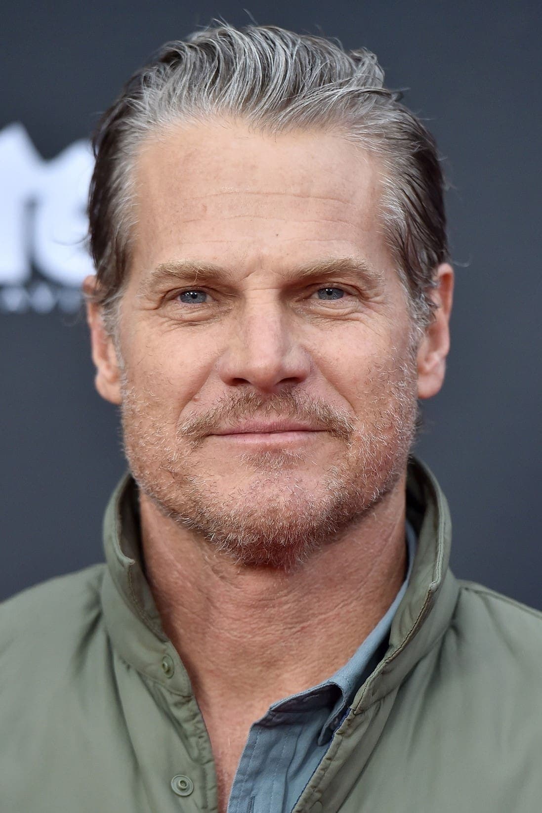 تصویر هنرمند Brian Van Holt