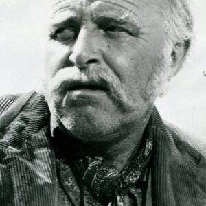 تصویر هنرمند Laurence Naismith