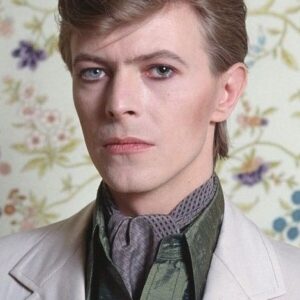 تصویر هنرمند David Bowie