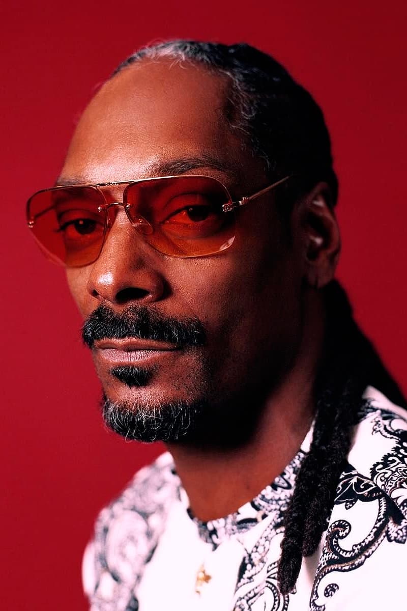 تصویر هنرمند Snoop Dogg