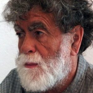 تصویر هنرمند Philippe Turlure