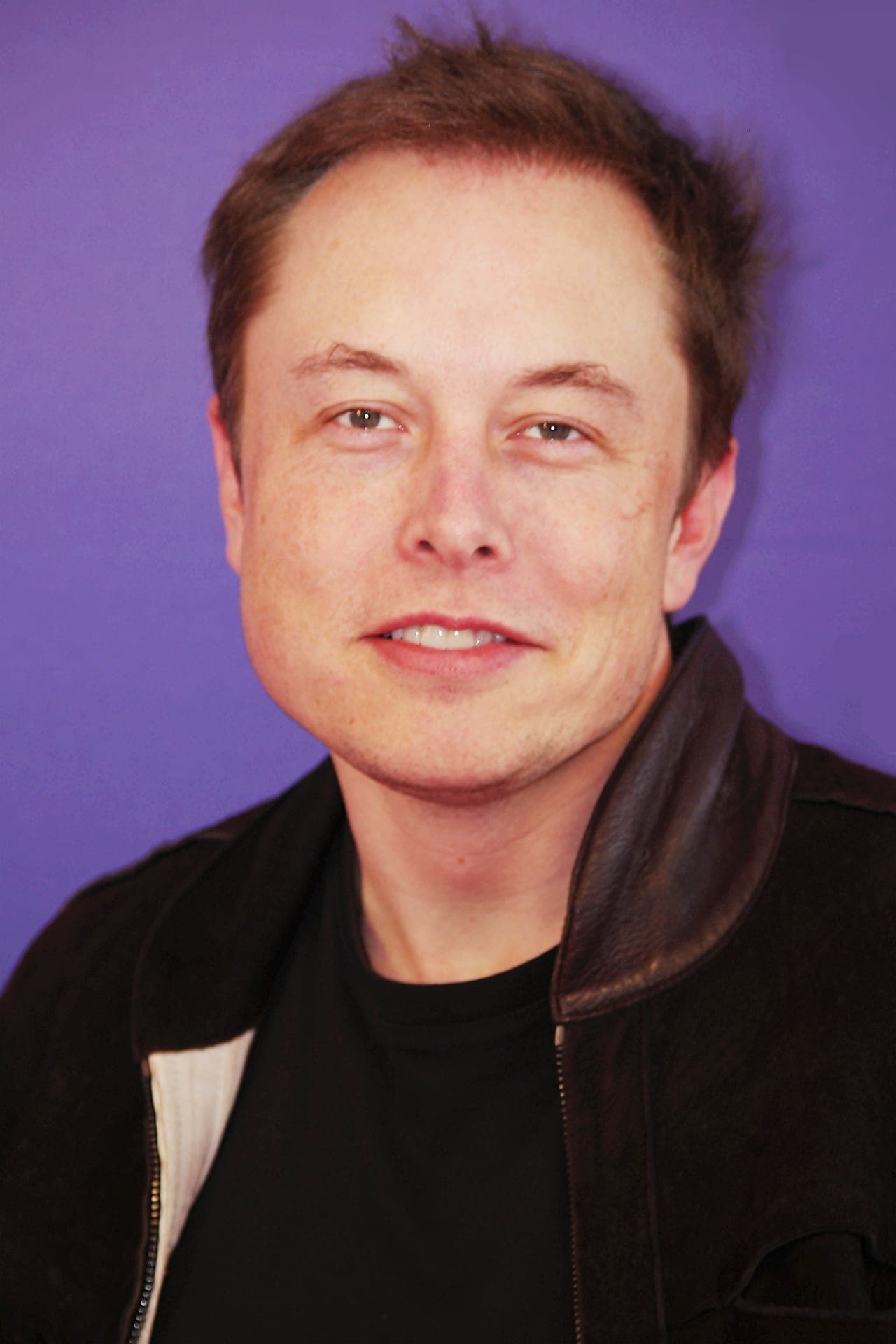 تصویر هنرمند Elon Musk