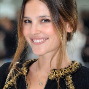 تصویر هنرمند Virginie Ledoyen