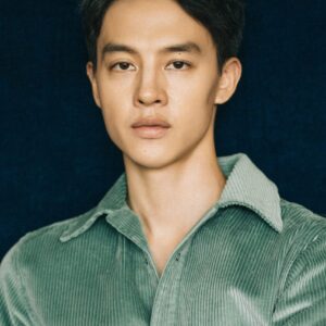 تصویر هنرمند Yin Fang