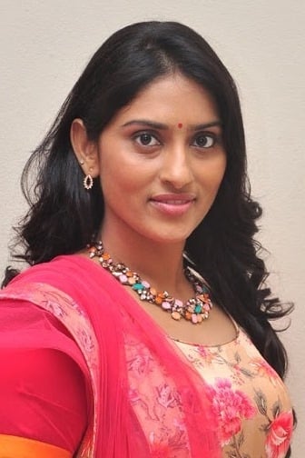 تصویر هنرمند Sri Sudha Bhimireddy
