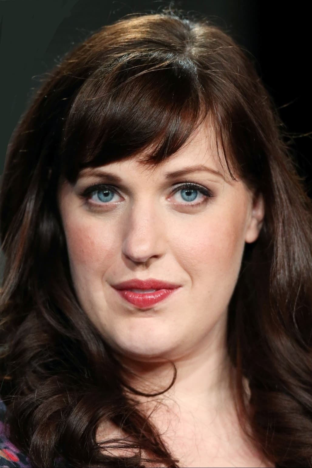 تصویر هنرمند Allison Tolman