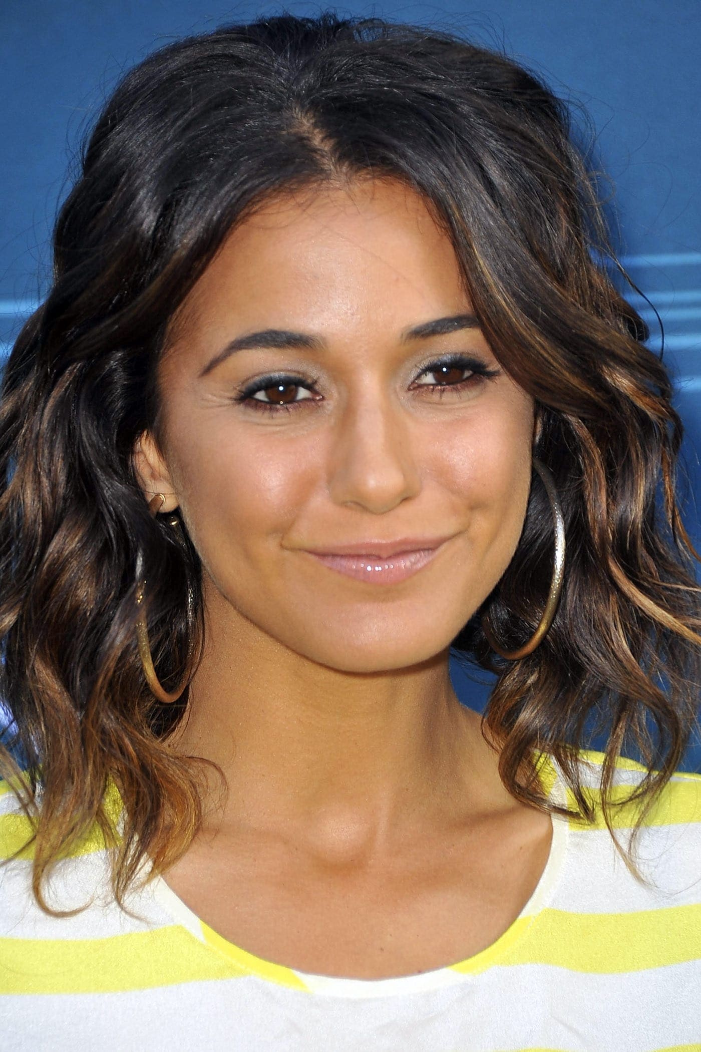 تصویر هنرمند Emmanuelle Chriqui