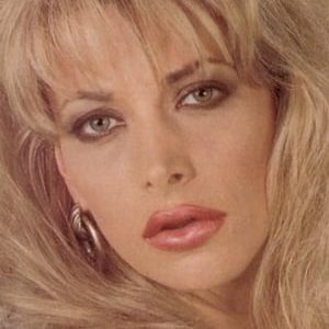 تصویر هنرمند Pandora Peaks