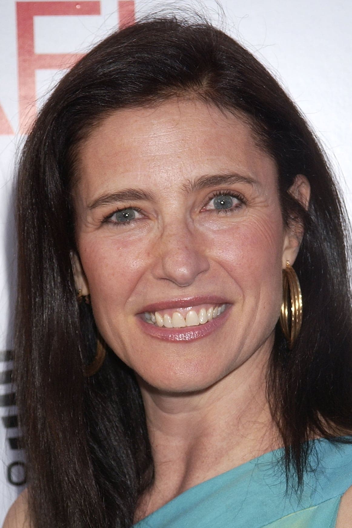 تصویر هنرمند Mimi Rogers