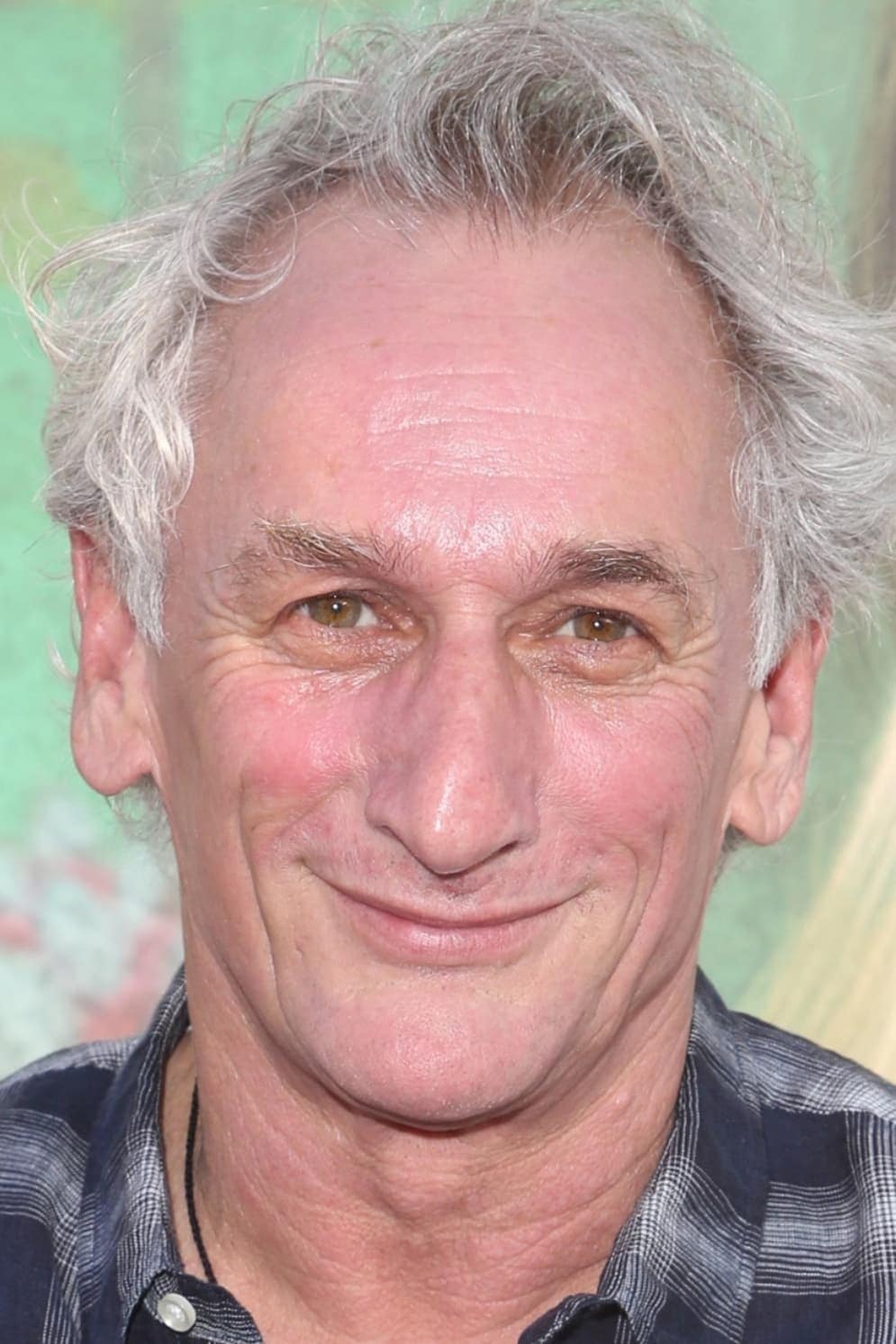 تصویر هنرمند Matt Craven