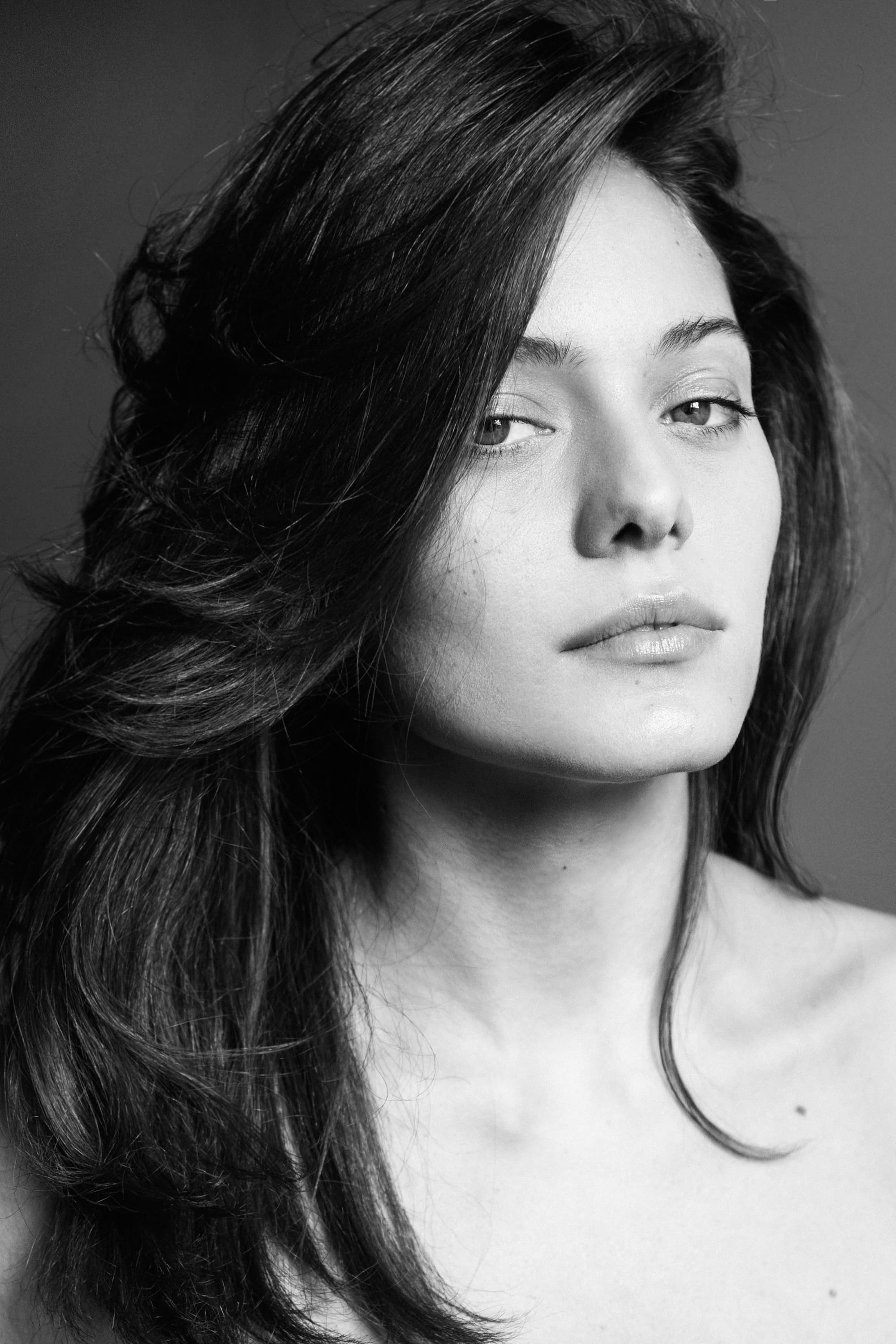 تصویر هنرمند Dafne Rotolo