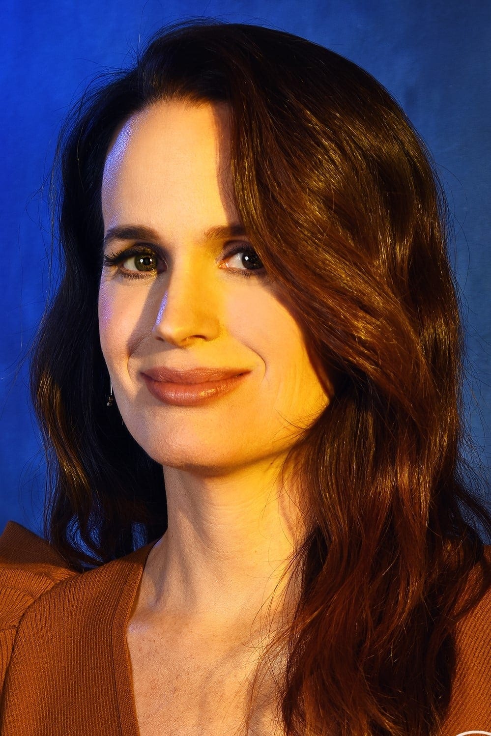 تصویر هنرمند Elizabeth Reaser