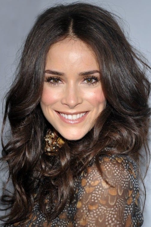 تصویر هنرمند Abigail Spencer