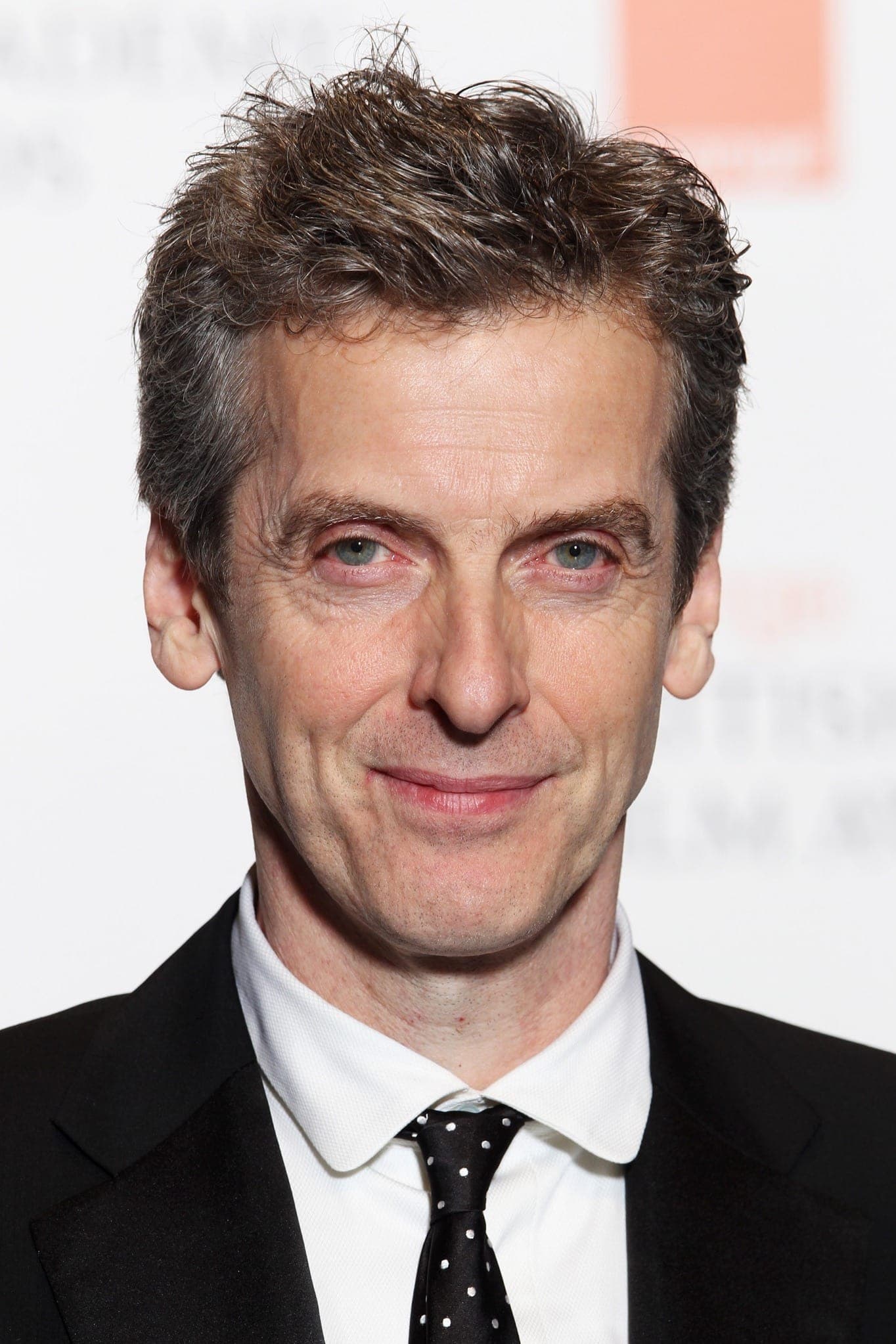 تصویر هنرمند Peter Capaldi