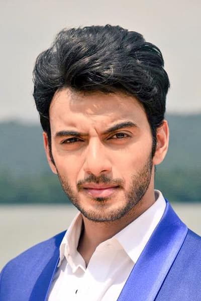 تصویر هنرمند Vikram Singh Chauhan