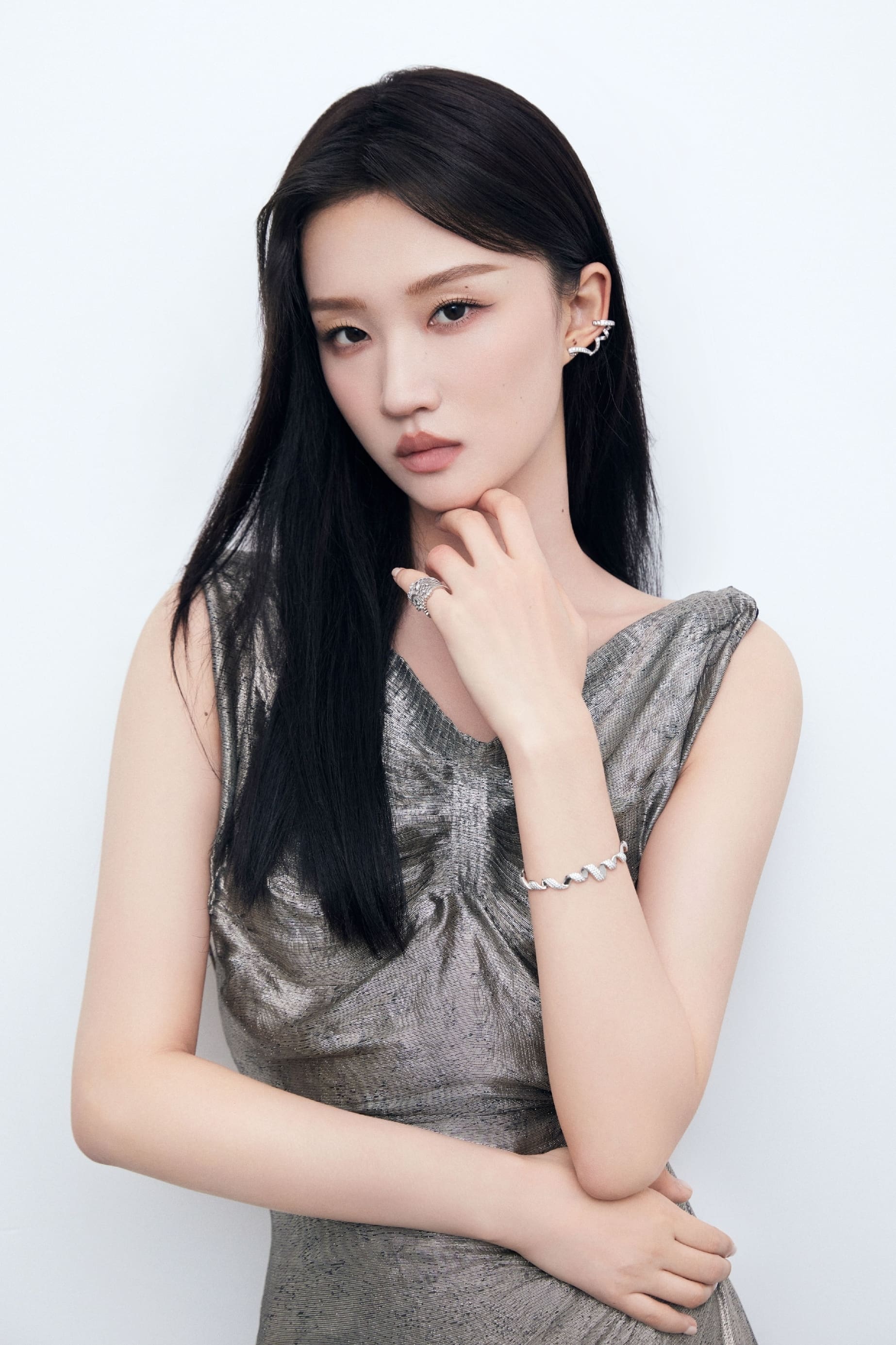 تصویر هنرمند Wang Jiayi