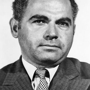 تصویر هنرمند Nehemiah Persoff