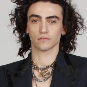 تصویر هنرمند Michele Bravi