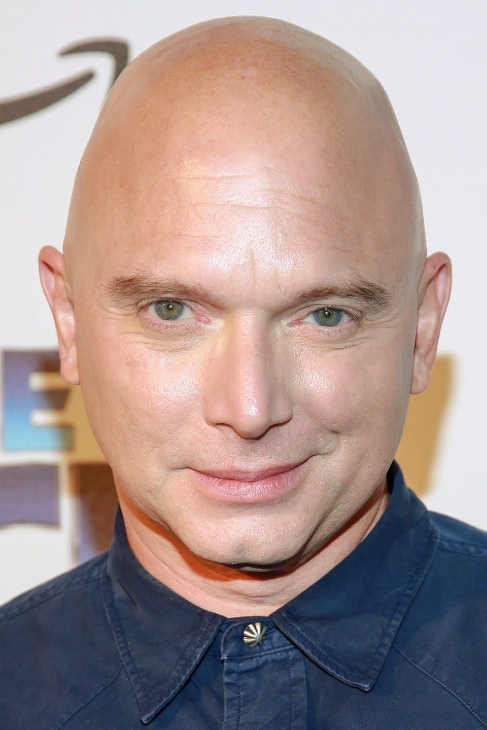 تصویر هنرمند Michael Cerveris