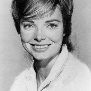 تصویر هنرمند Joan Freeman