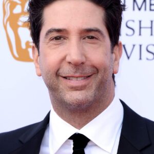 تصویر هنرمند David Schwimmer