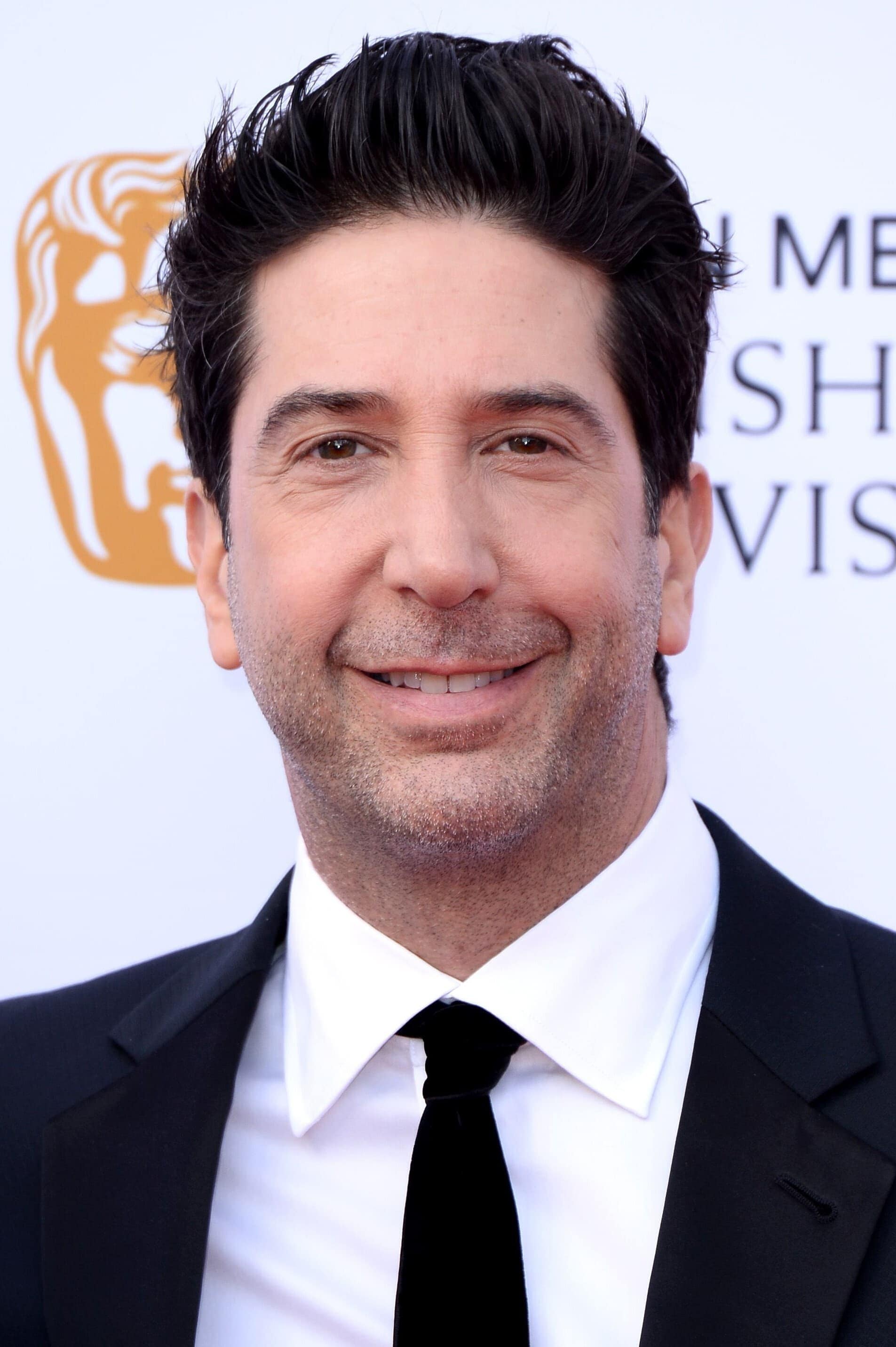 تصویر هنرمند David Schwimmer