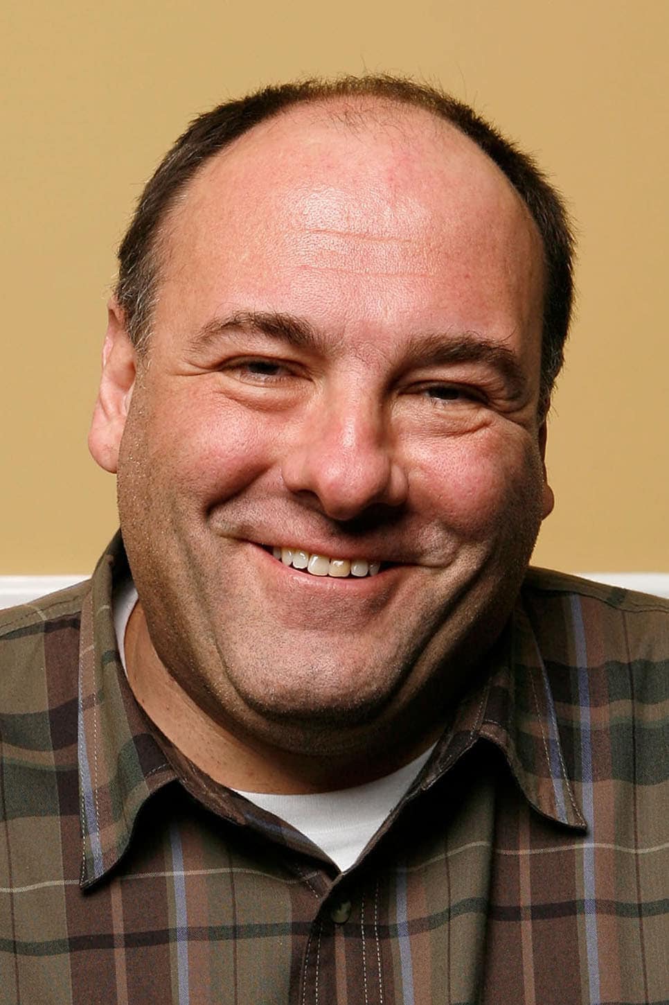 تصویر هنرمند James Gandolfini