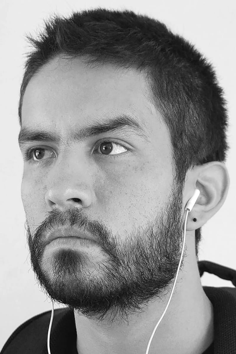 تصویر هنرمند Bernardo Benítez
