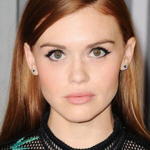 تصویر هنرمند Holland Roden