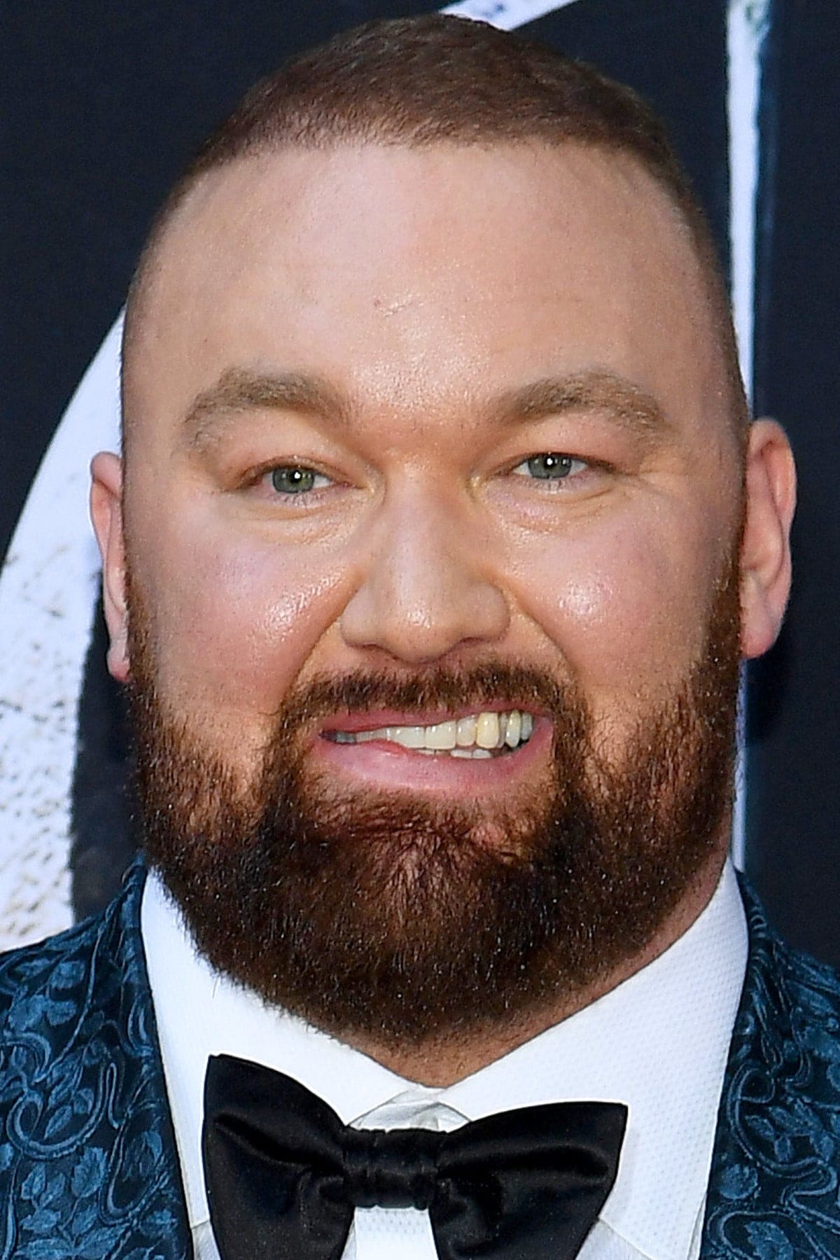 تصویر هنرمند Hafþór Júlíus Björnsson