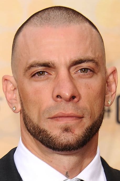 تصویر هنرمند Joe Schilling