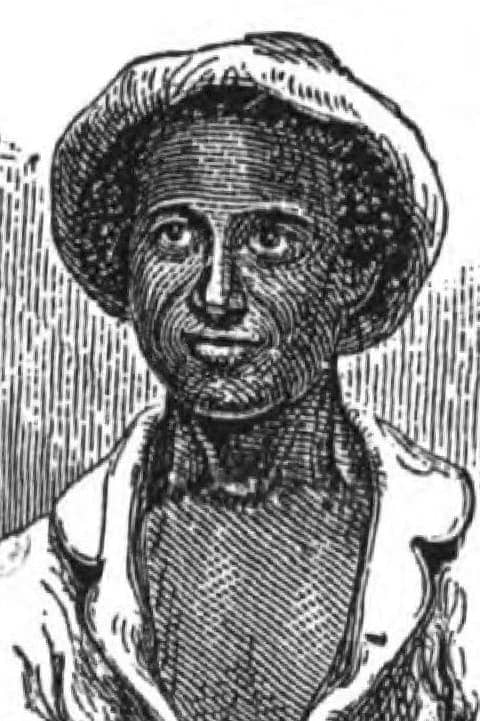 تصویر هنرمند Solomon Northup