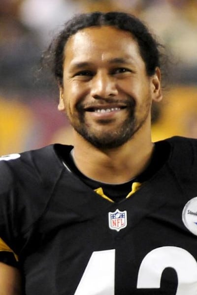 تصویر هنرمند Troy Polamalu
