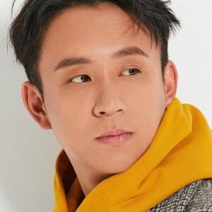 تصویر هنرمند Liu Tingzuo