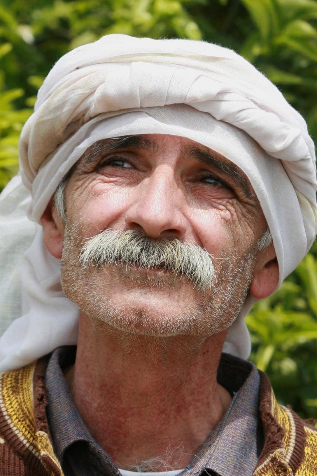 تصویر هنرمند Tarik Kopty
