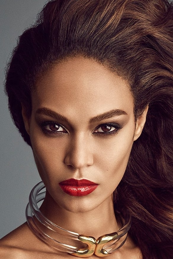 تصویر هنرمند Joan Smalls