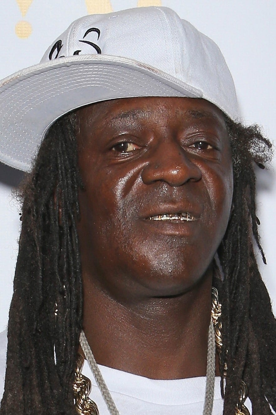 تصویر هنرمند Flavor Flav