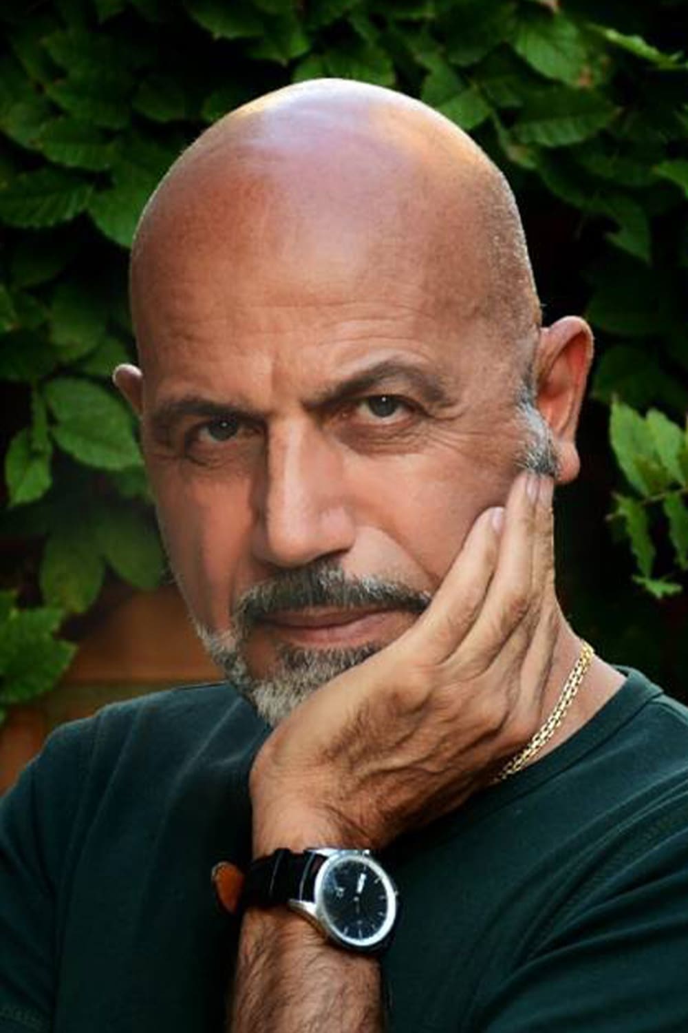 تصویر هنرمند Mohammad Reza Delpak