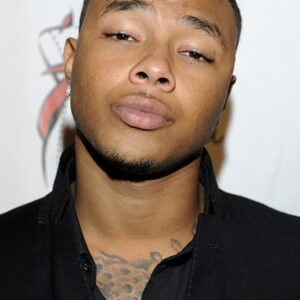 تصویر هنرمند Gregory Tyree Boyce